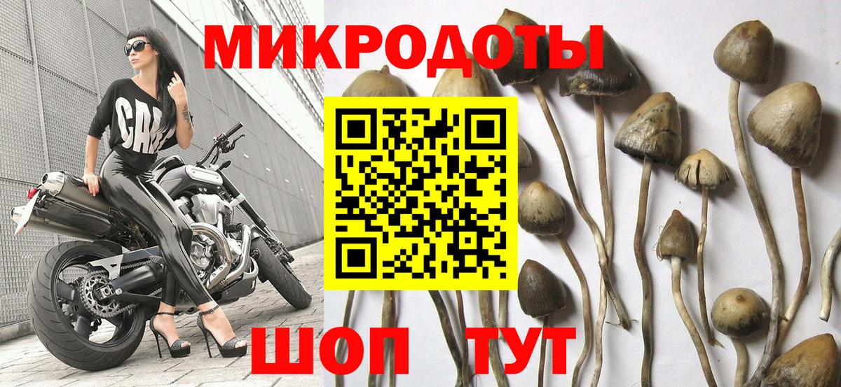 Тамбов  Галлюциногенные грибы Magic Shrooms  Вход с VPN 